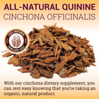 HERBALICIOUS Cápsulas de Quinina - Corteza de Cinchona Officinalis para Calambres Musculares y Salud Digestiva - 500 mg por Cápsula, 160 Cápsulas