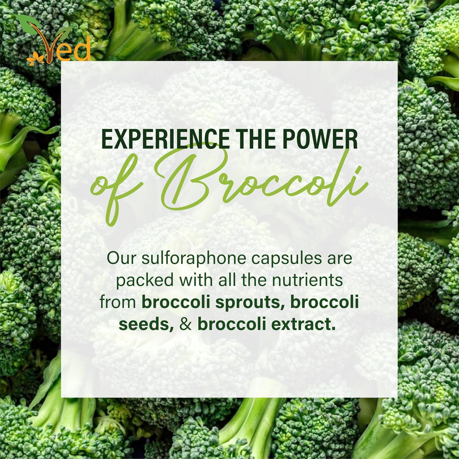 Broccoli Sulforaphane 550 mg - 90 Cápsulas (45 Días)