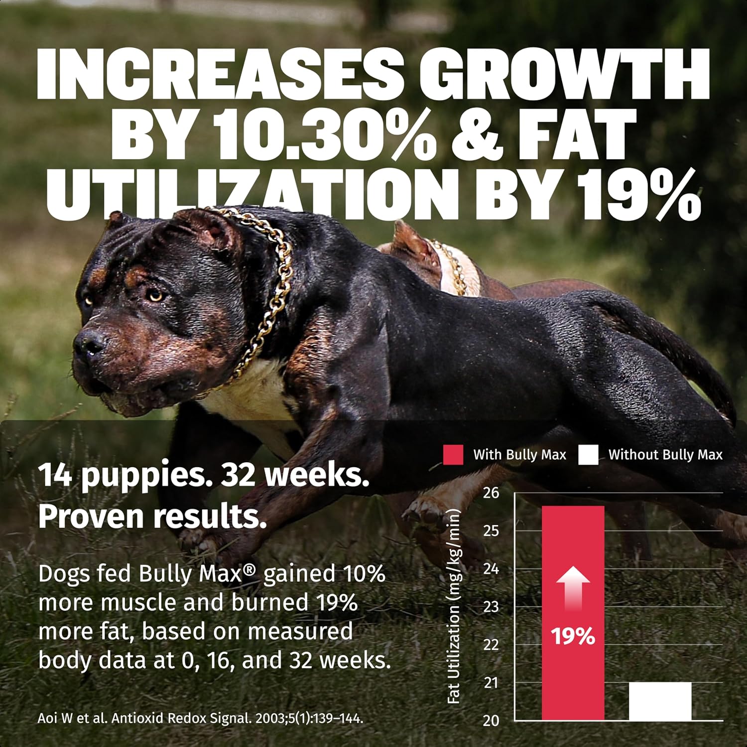Bully Max 3-en-1 Líquido Constructor Muscular para Perros y Cachorros - Vitaminas y Suplementos Caninos