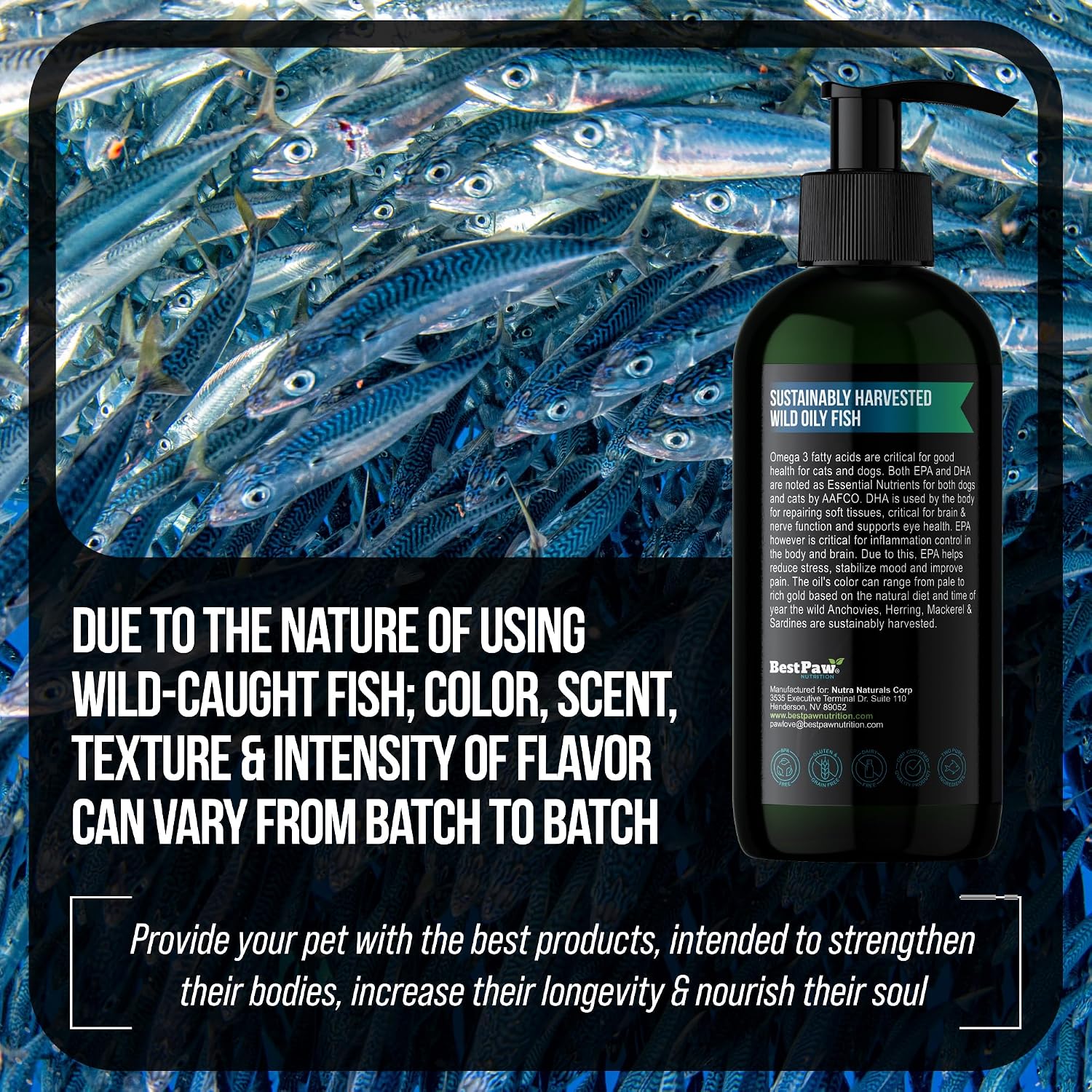 Aceite de Pescado para Perros - Omega 3 Salvaje con Dosificador - 236 ml