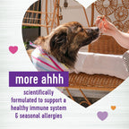 Wellness Salmon Flavored Soft Chew Immune & Allergy Supplements for Dogs, 45 Count
