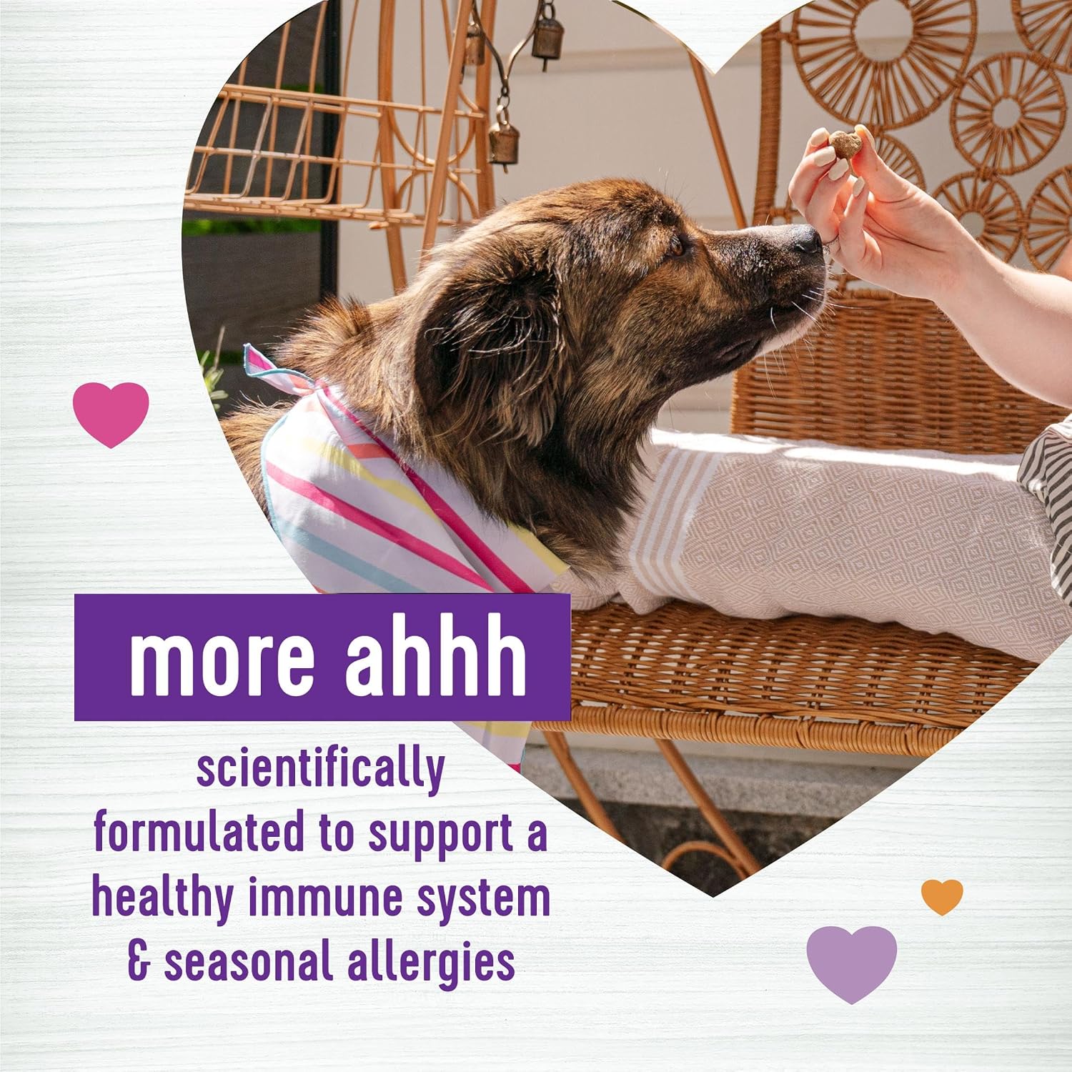 Wellness Soft Chews Sabor Salmón - Suplemento Inmune y Alergias para Perros, 45 unidades