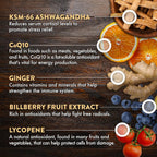 Mt. Angel Vitamins Multivitamínico para Hombres