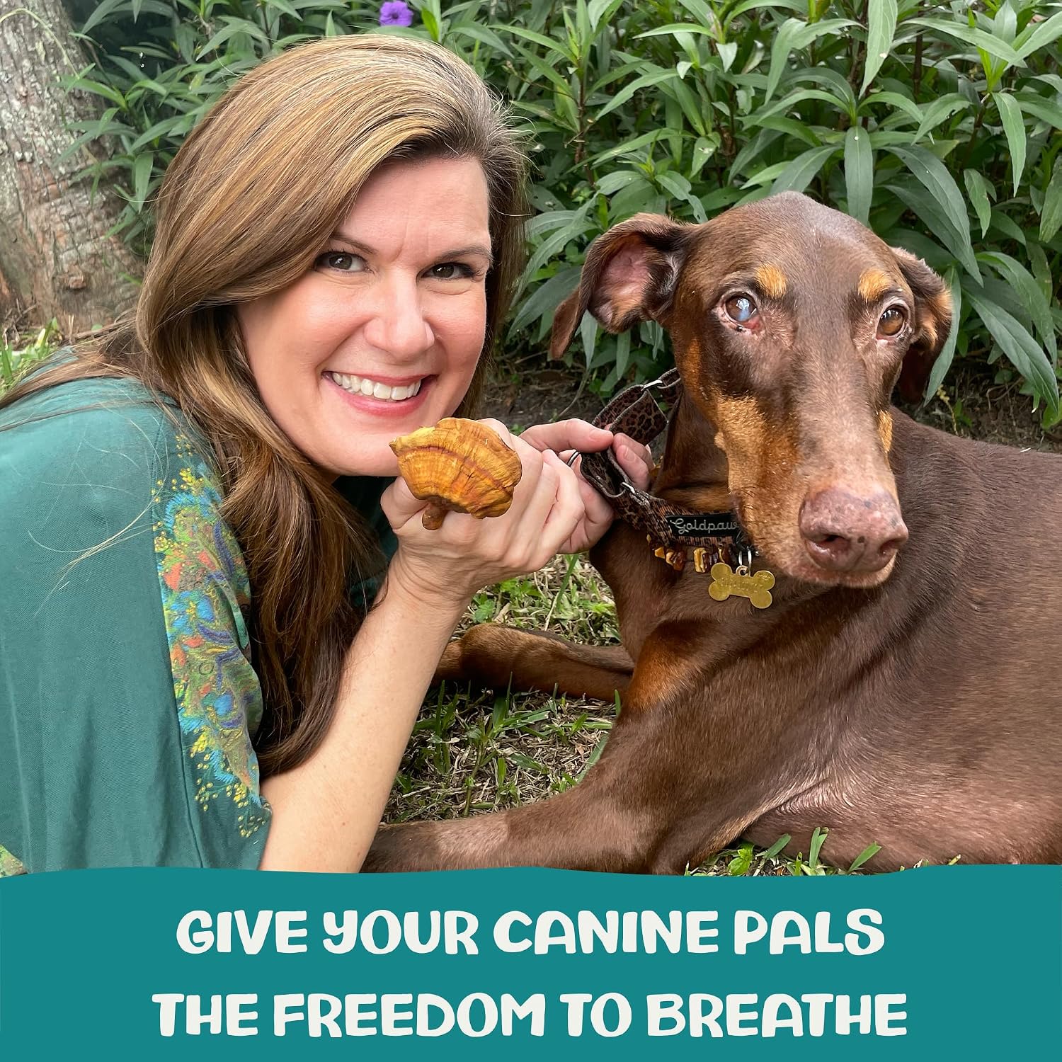 MycoDog Breathe - Gotas para Alergias Caninas, 60 ml: Extractos de Hongos y Ashwagandha | Apoyo Respiratorio