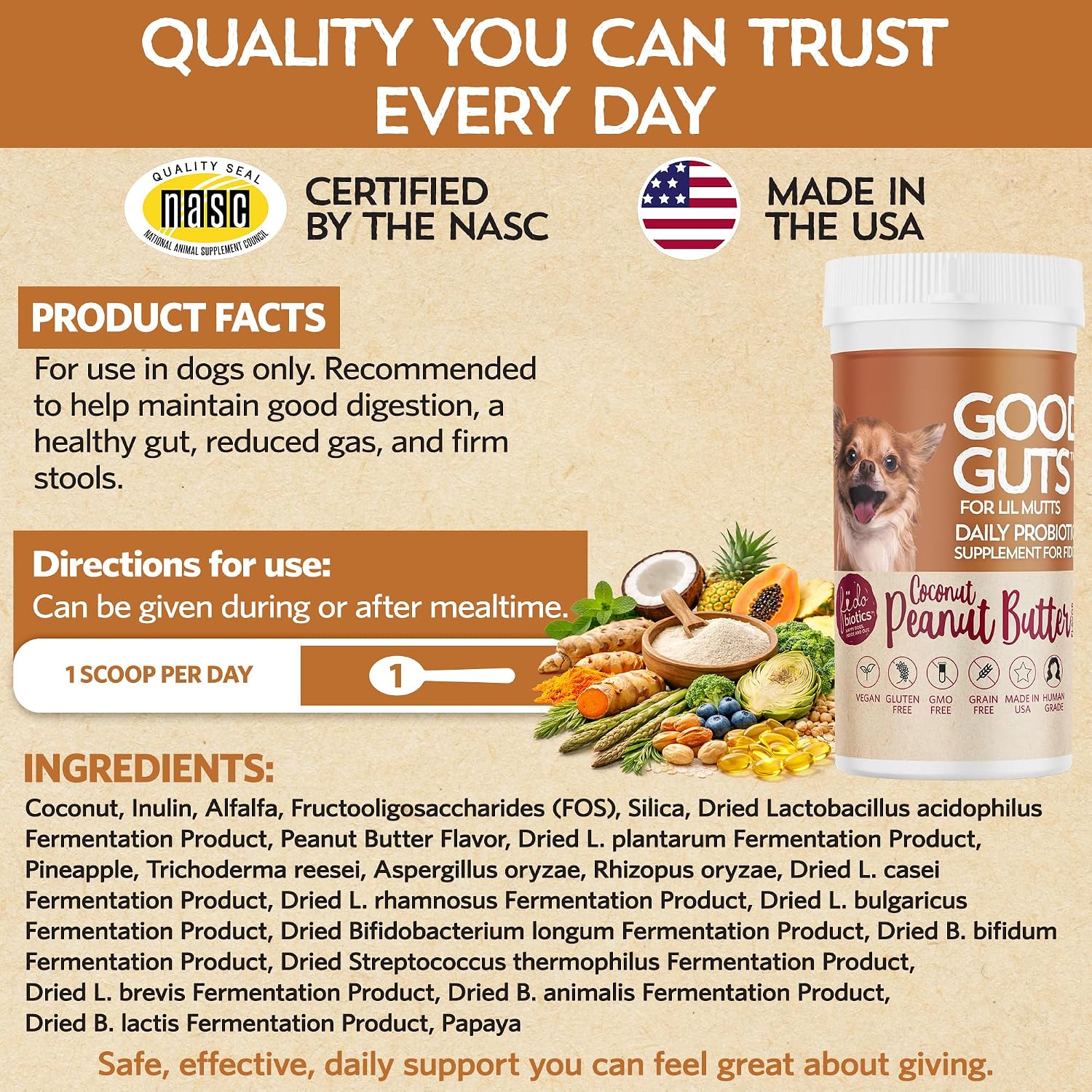 Good Guts Probióticos para Perros Pequeños – Polvo Digestivo con 3B UFC, Enzimas y Prebióticos
