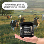 MINDHONEY Organic Colostrum | Premium Cacao Flavored Superfood Powder | Gut Health & Immunity, Skin & Hair, Anti-Aging, Performance & Recovery | Grass-Fed, Pasture-Raised | 30 Servings