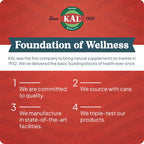 KAL Liposomal Multivitamin - Multivitamínico Liposomal de Alta Potencia con Vitamina C, D-3 y Complejo B - 60 Cápsulas Vegetales