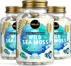 MAJU Wild Irish Sea Moss Cápsulas 4 en 1 (120ct) con Bladderwrack y Bardana