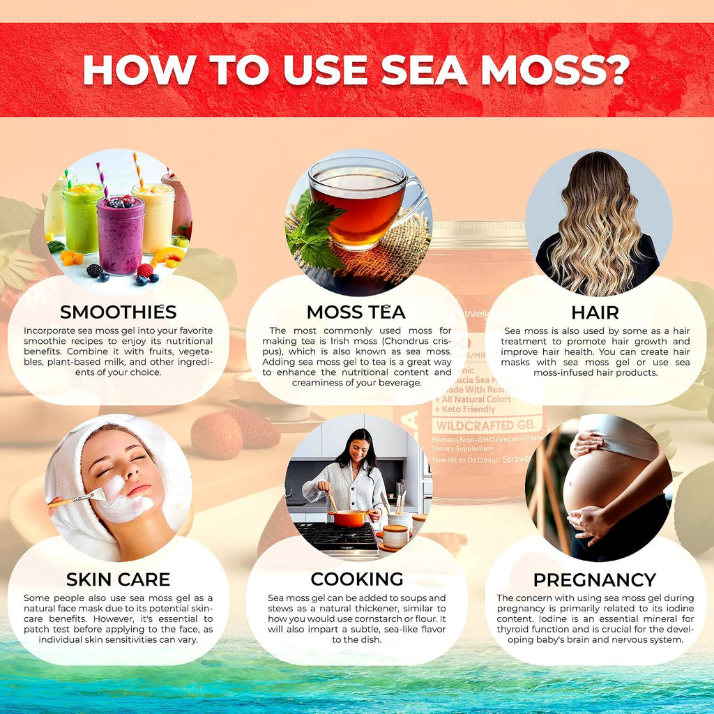 Gel de Sea Moss Silvestre con Sabor a Fresa - Superalimento Rico en Vitaminas y Minerales - Apoyo Inmunitario y Digestivo - 283 g