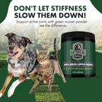 Daybreak Nutrition Polvo de Mejillón de Labio Verde Puro para Perros y Gatos - 150g