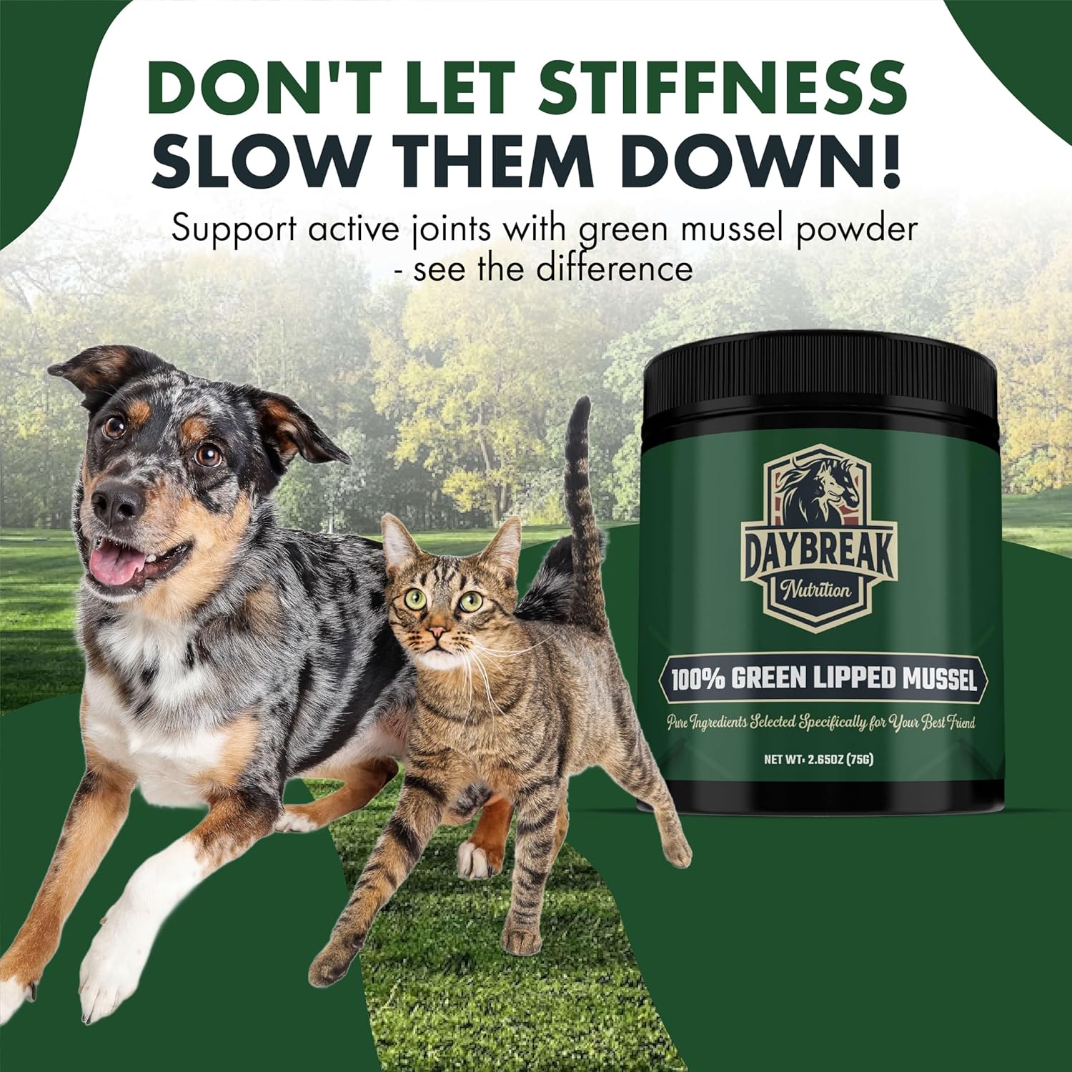 Daybreak Nutrition Polvo de Mejillón de Labio Verde Puro para Perros y Gatos - 150g