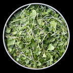 BeMicro Microgreens de Brócoli - Potenciador Nutricional, Activación Nrf2, 5g