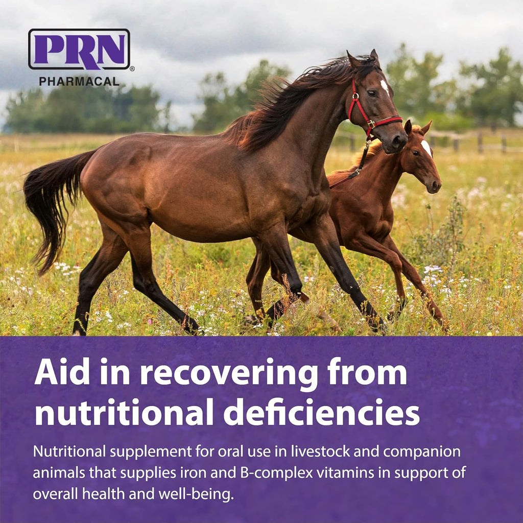 PRN Pharmacal Liqui-Tinic 4X - Iron and Vitamin B Supplement for Cattle and Horses - Liver Flavor - 1 Gallon (3.78 L)