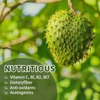 Gotas Líquidas de Graviola Orgánica 2000mg con Vitamina C