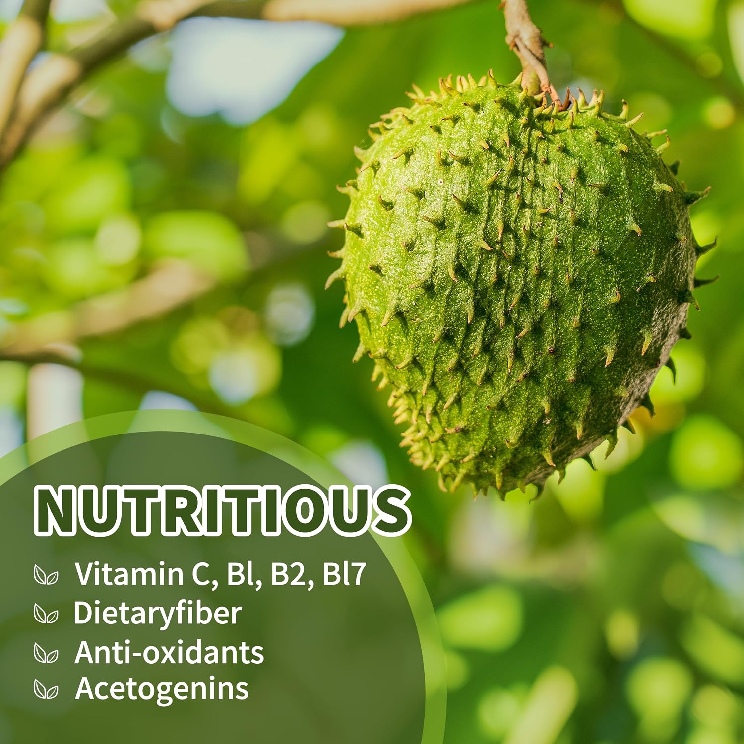 Gotas Líquidas de Graviola Orgánica 2000mg con Vitamina C