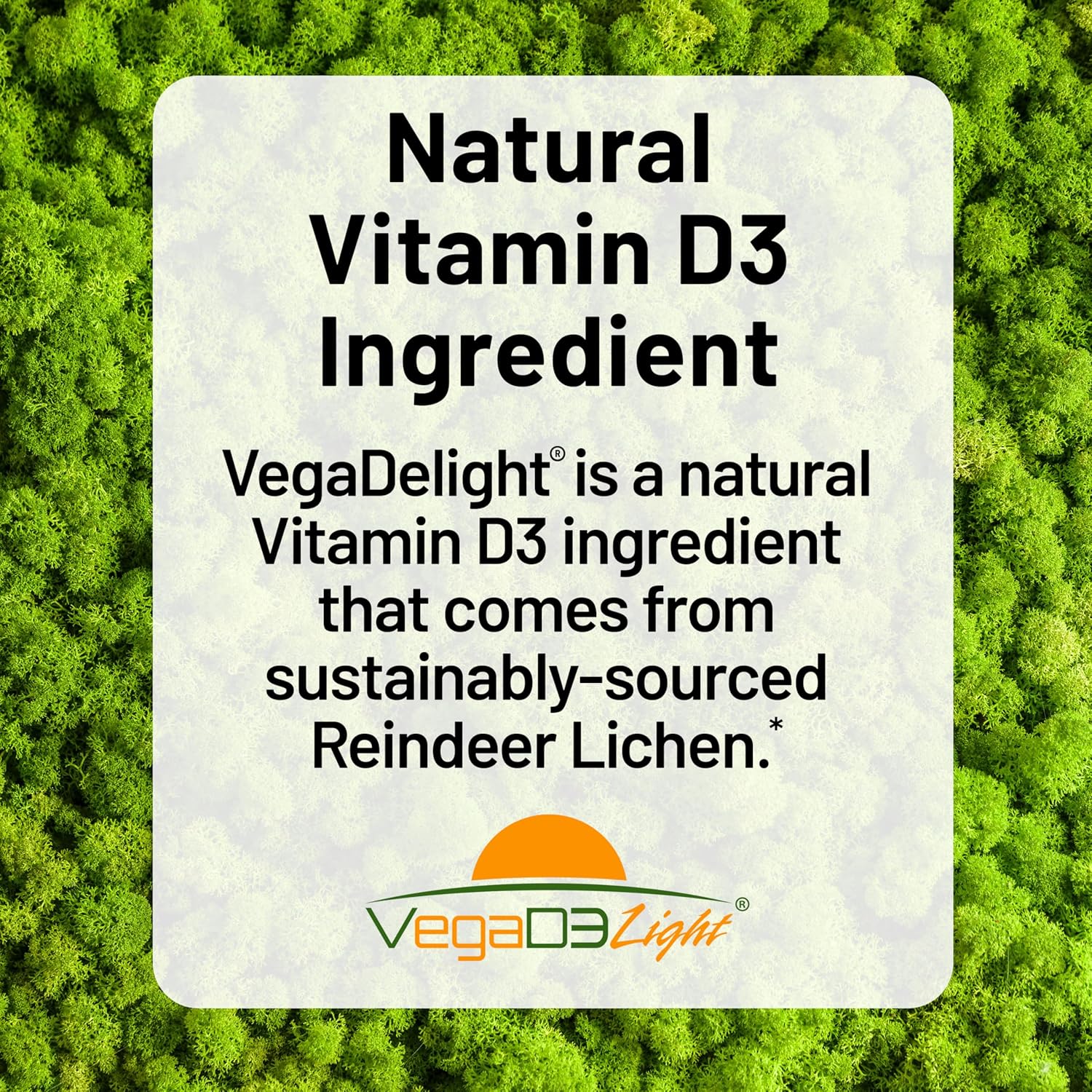 NatureWise Vitamina D3 + K2 Vegana con Aceite MCT de Coco Orgánico - 5000 UI D3 + 100 mcg K2 - 90 Cápsulas Blandas