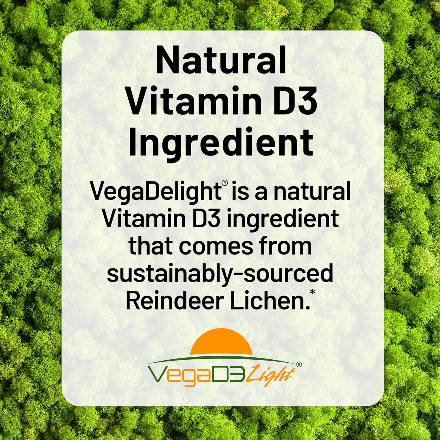 NatureWise Vitamina D3 + K2 Vegana en Aceite MCT de Coco Orgánico - 10.000 UI D3 + 200 mcg K2 - Apoyo Óseo - No-GMO - 90 Cápsulas Blandas
