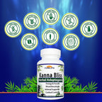 Kanna Bliss - Herbal Adaptogenic (60 Vegetarian Capsules)