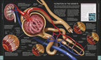 Libro del Cuerpo Humano
