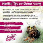 Vital Planet - Daily Detox para Perros con MSM, Cardo Mariano, Espirulina y Cúrcuma - Apoya el Sistema Inmunológico y la Limpieza Natural del Hígado - 60 Comprimidos Masticables Sabor Carne de Vacuno