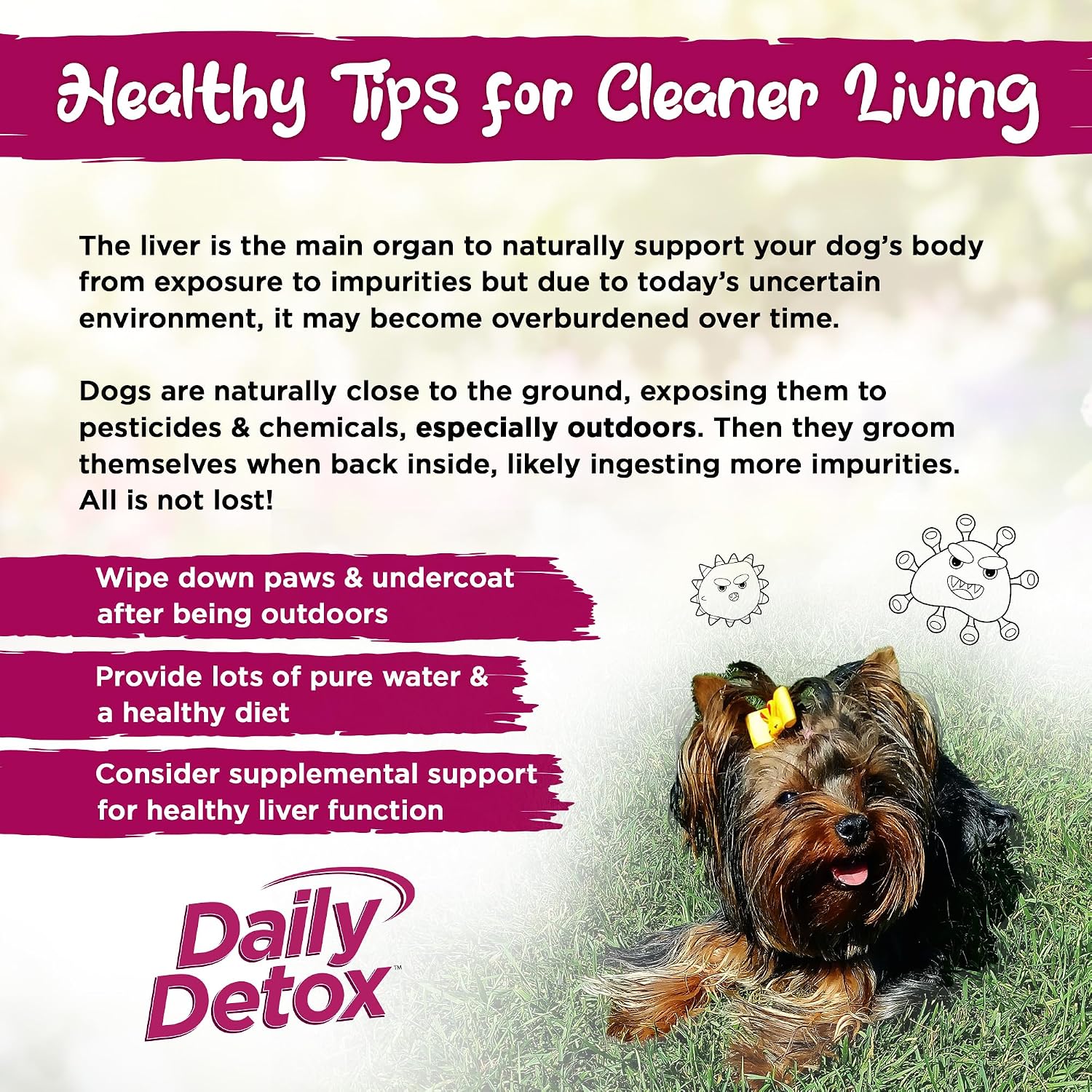 Vital Planet - Daily Detox para Perros con MSM, Cardo Mariano, Espirulina y Cúrcuma - Apoya el Sistema Inmunológico y la Limpieza Natural del Hígado - 60 Comprimidos Masticables Sabor Carne de Vacuno