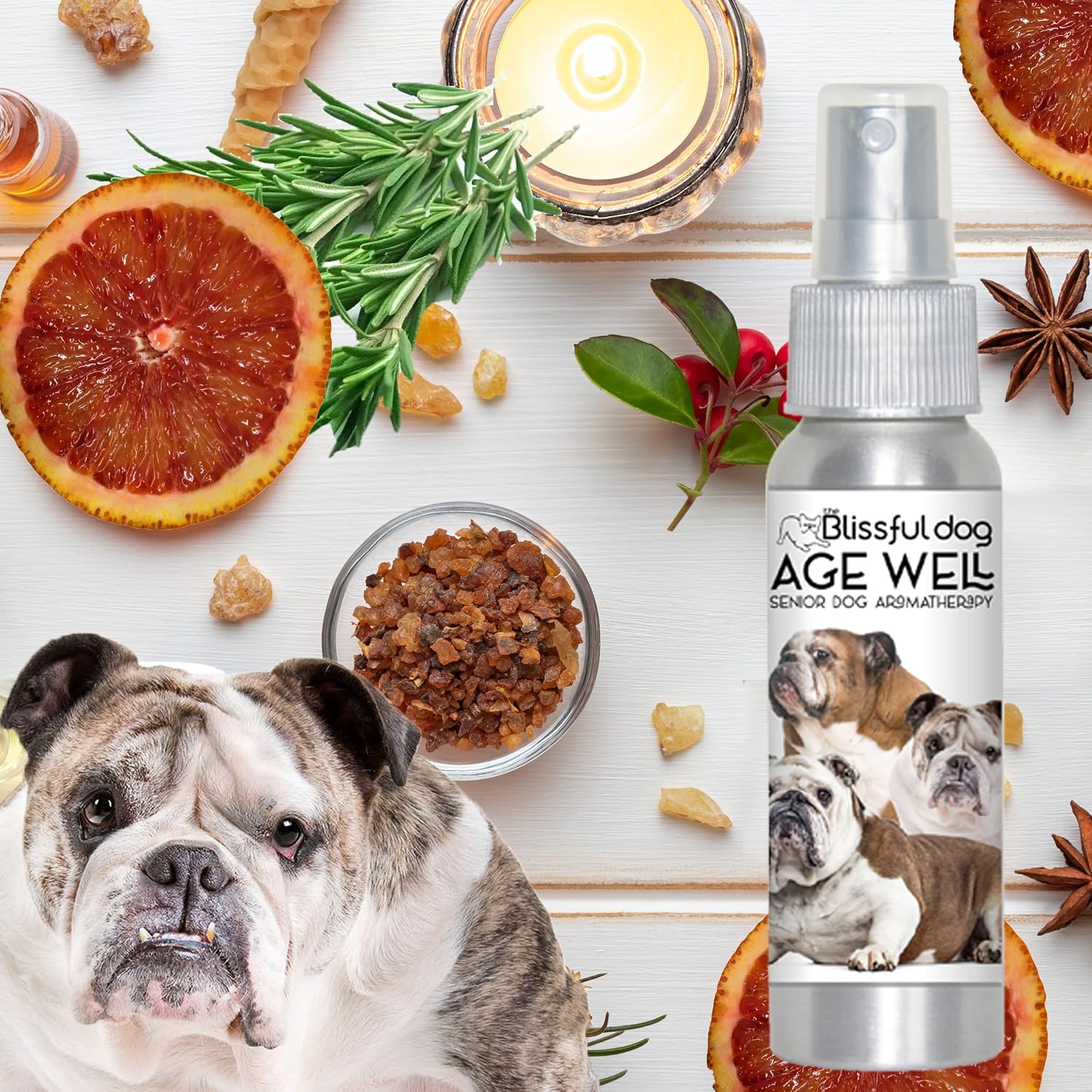 The Blissful Dog Age Well Spray de Aromaterapia para Perros - 80 ml