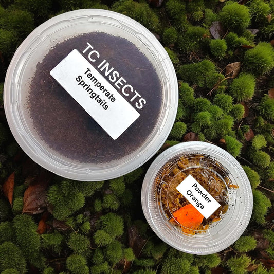 Bioactive Combo: 25 Isópodos Powder Orange + 240 ml Colémbolos Tropicales Coco - TC INSECTS