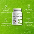 DEAL SUPPLEMENT Methyl B-12 5000 mcg, 240 Comprimidos Masticables | Forma Activa - Sabor Fresa - Energía y Función Cerebral - Vegano y Sin OGM
