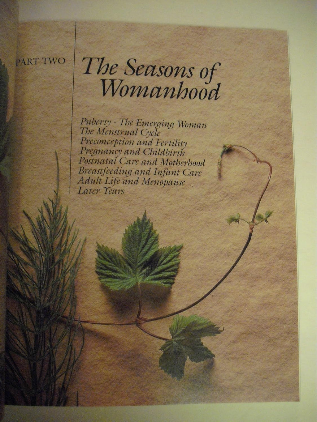 The Complete Woman's Herbal: Manual de Hierbas y Nutrición para la Mujer