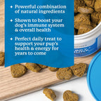 Dr. Harvey's Masticables Suaves para Perros contra Alergias y Picor - Apoyo Inmune y Digestivo con Hongos Funcionales, Probióticos y Super Hierbas, Sabor a Salmón (90 unidades)
