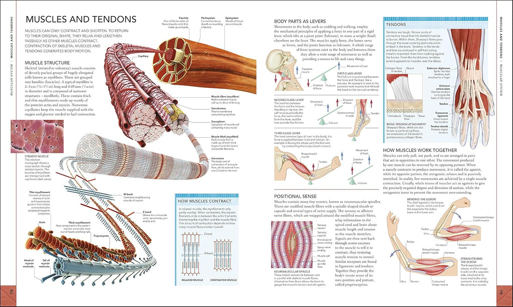 Libro del Cuerpo Humano