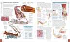 Libro del Cuerpo Humano