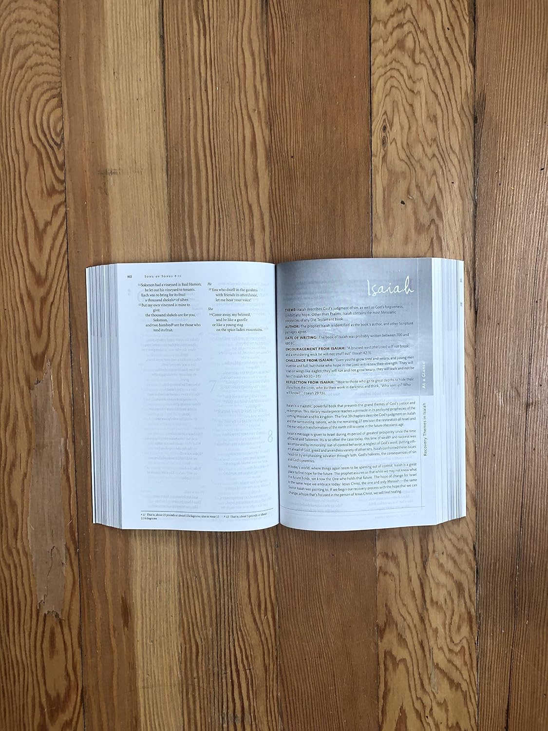 NVI, Biblia de estudio de Celebremos la Recuperación – Edición en rústica