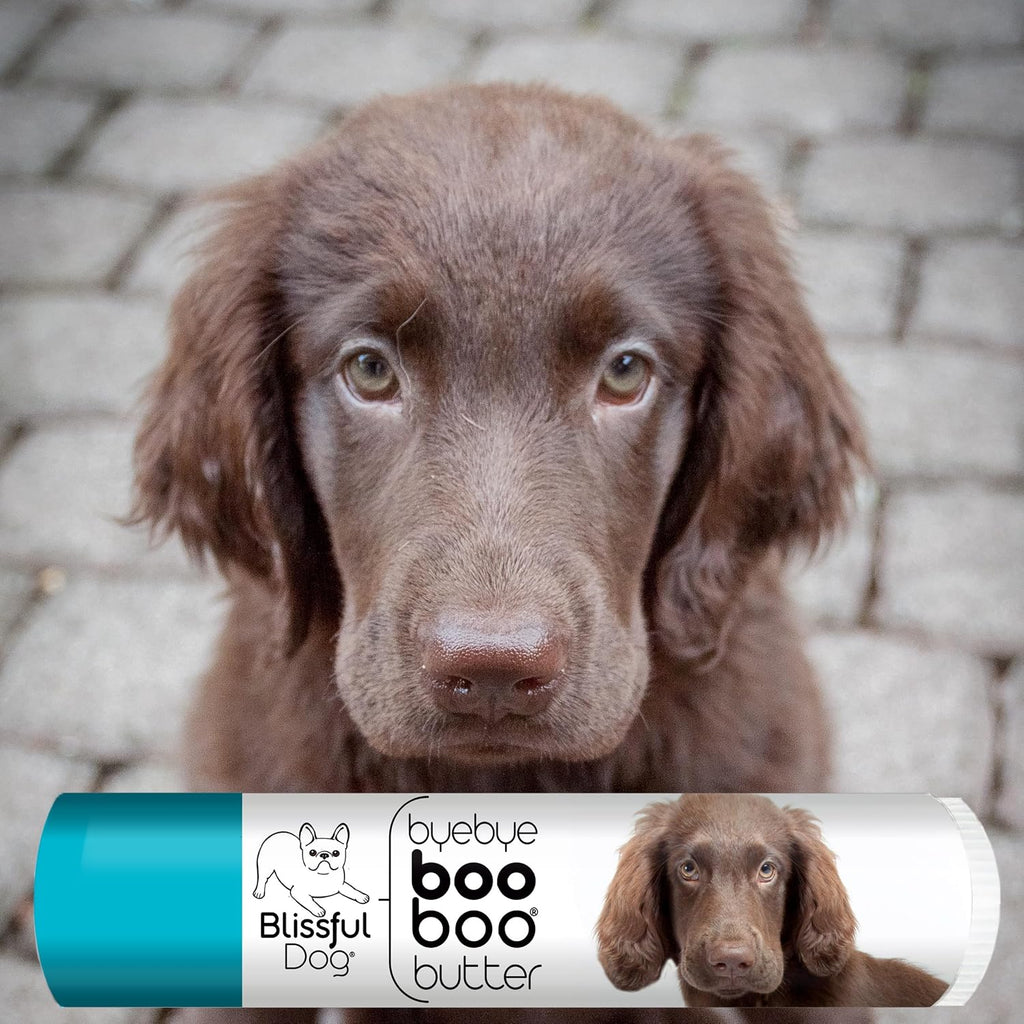 The Blissful Dog Flat-Coat Retriever Boo Boo Butter 0.15 oz