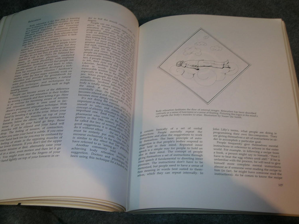 Seeing with the Mind's Eye: History, Techniques, and Uses of Visualization