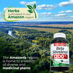 FITO MEDIC'S Lab Beta-sitosterol 1200 mg | 240 Cápsulas | Esteroles Vegetales