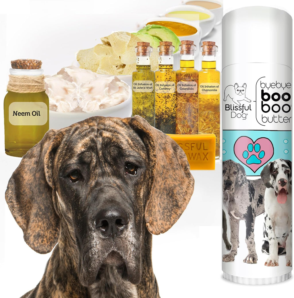 The Blissful Dog Booboo Butter para perros grandes (tubo de 0.50 oz)