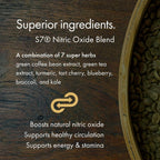 NAOMI Bergamota Italiana 500mg + Soporte de Óxido Nítrico – Colesterol Saludable, Flujo Sanguíneo y Circulación en Rango Normal – Mezcla Patented BergAmore® & S7®