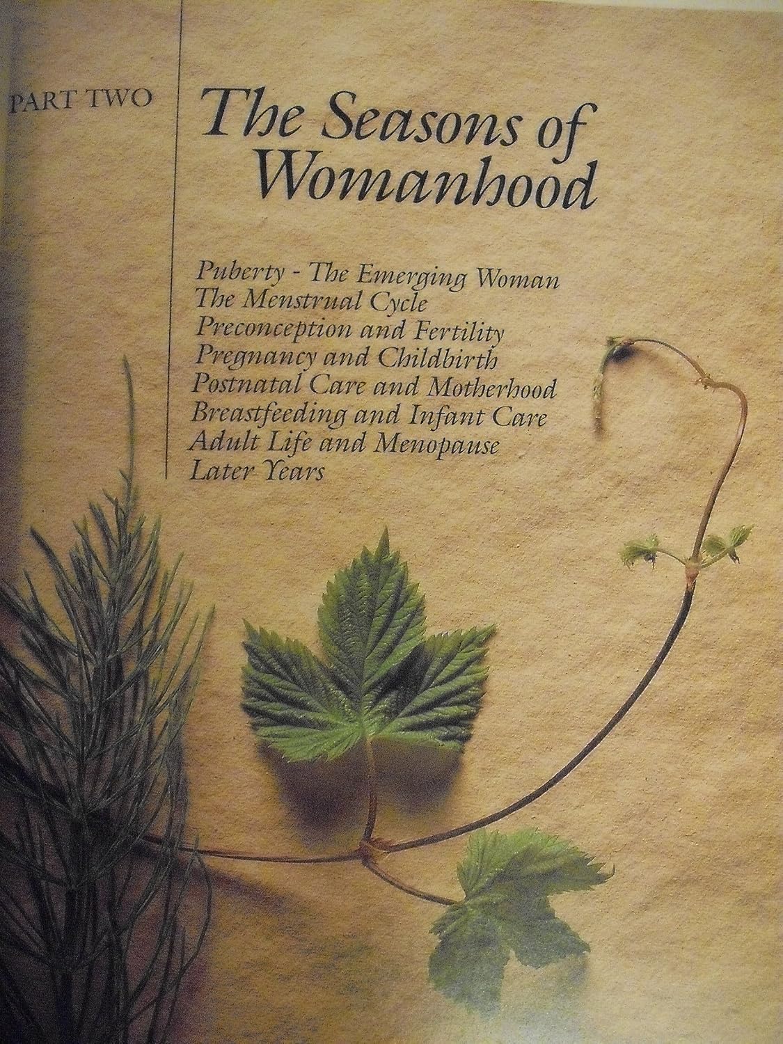 The Complete Woman's Herbal: Manual de Hierbas y Nutrición para la Mujer