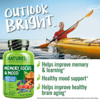 NATURELO Whole Food Brain Supplement - Complemento para la Salud Cerebral con Bacopa, Aronia y Vitaminas B - 60 Cápsulas Vegetarianas (Pack de 2)