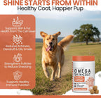 Aceite de Salmón para Perros - Golosinas Blandas Omega para Piel y Pelaje - 180 Unidades