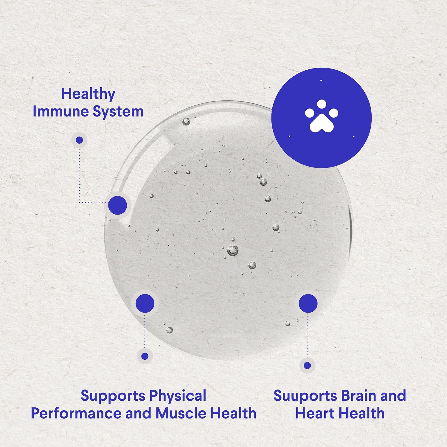 Premium DMG para Perros – Suplemento Líquido de Dimetilglicina (DMG) para la Salud Inmunológica, Piel, Rendimiento y Estrés – 118 ml
