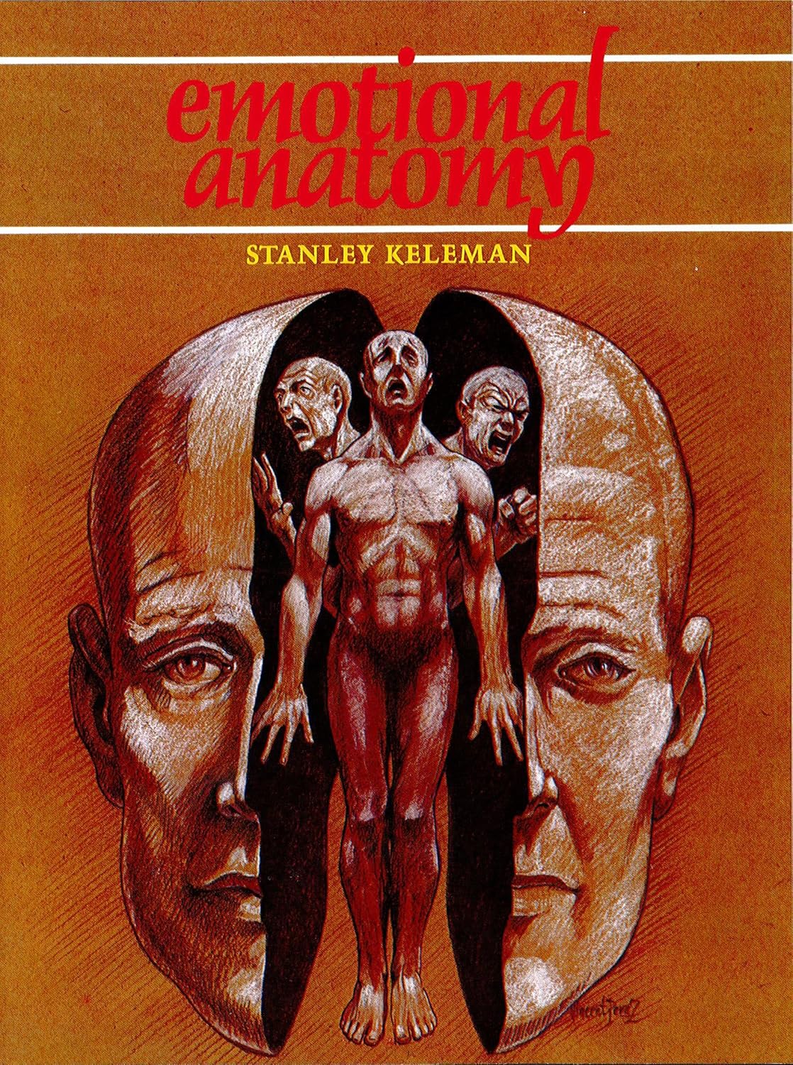 Anatomía emocional: la estructura de la experiencia