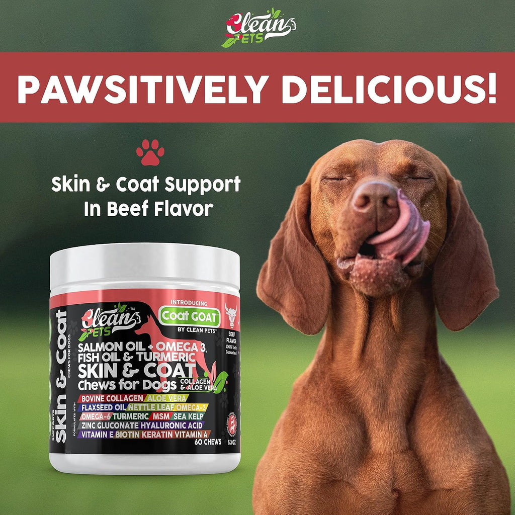 Clean Pets Aceite de Salmón Omega 3 para Perros con Colágeno, Aloe Vera, Biotina y Queratina - Suplemento para Piel y Pelaje