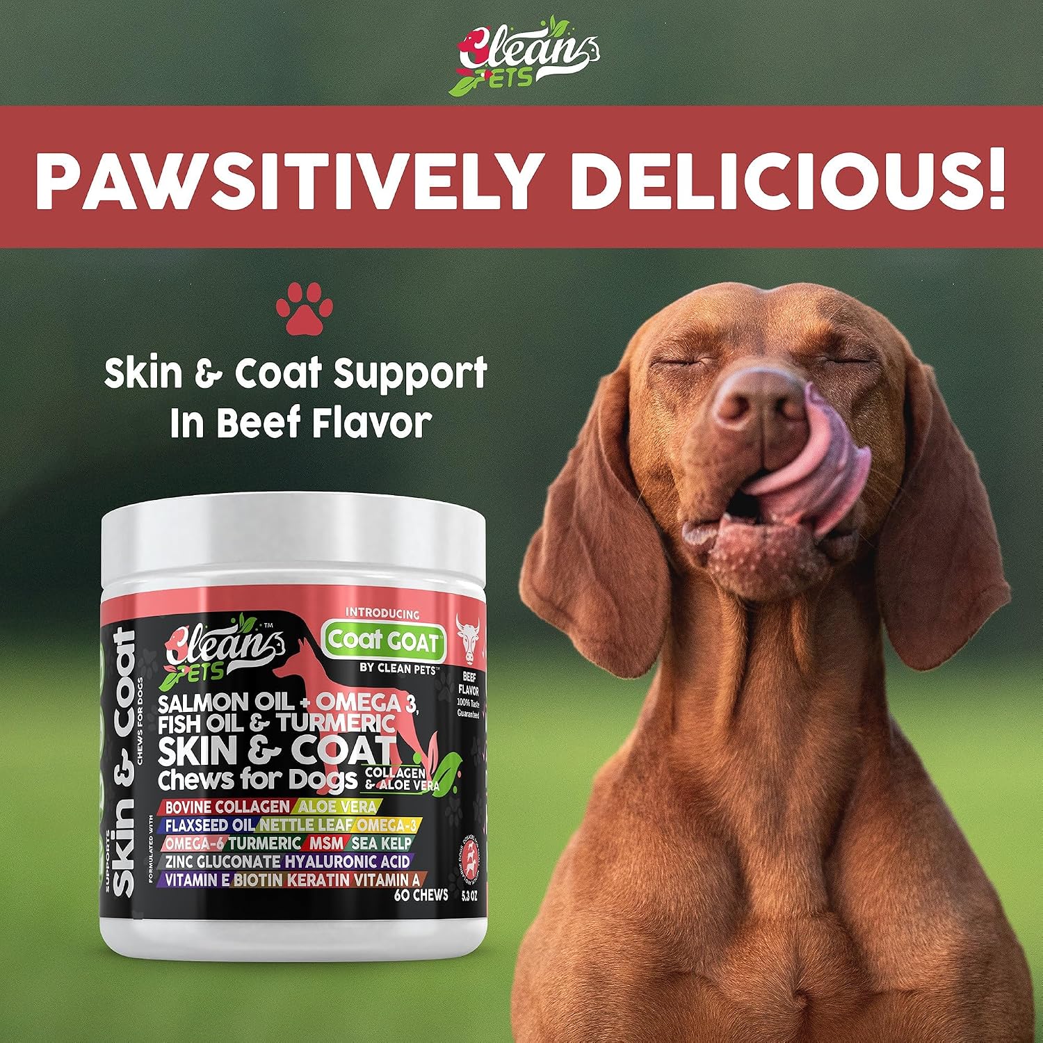 Clean Pets Aceite de Salmón Omega 3 para Perros con Colágeno, Aloe Vera, Biotina y Queratina - Suplemento para Piel y Pelaje