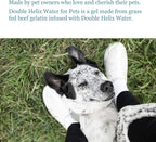 Double Helix Water para Mascotas - Suplemento Líquido para Perros y Gatos - 237 ml