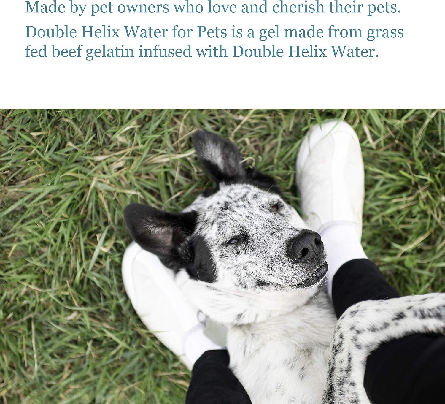 Double Helix Water para Mascotas - Suplemento Líquido para Perros y Gatos - 237 ml