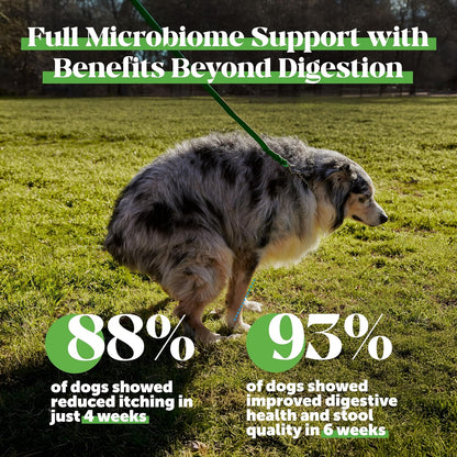 Probióticos de Máxima Potencia para Perros – Mejorar la salud de la piel y el pelaje: La conexión intestino-piel – Image 4