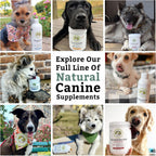 Canine Complete - Polvo Multivitamínico para Perros - 900 g - Vitaminas Diarias para Alimentación Casera - Salud Inmunológica, Piel, Pelaje y General - Todas las Razas - 90 Dosis