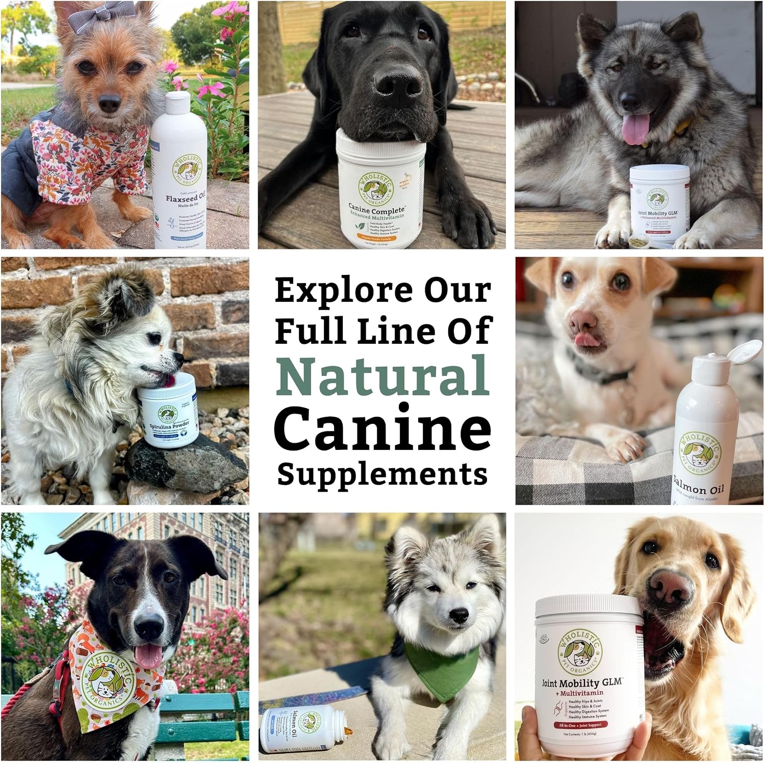 Canine Complete - Polvo Multivitamínico para Perros - 900 g - Vitaminas Diarias para Alimentación Casera - Salud Inmunológica, Piel, Pelaje y General - Todas las Razas - 90 Dosis